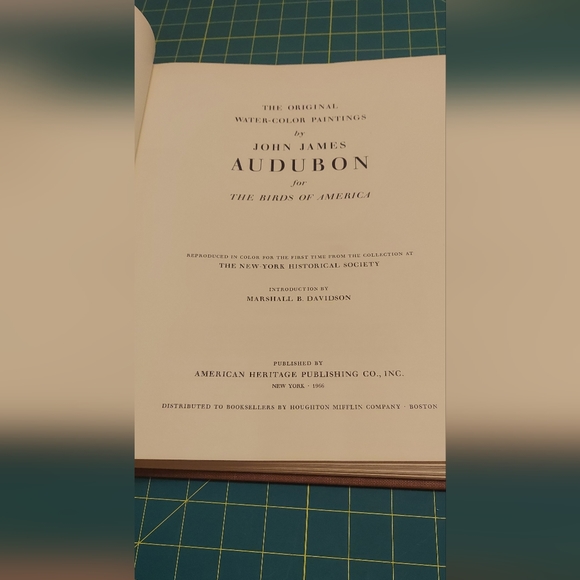 Northern 3-toed woodpecker, Hairy woodpecker Plate 97 - Picture 3 of 4